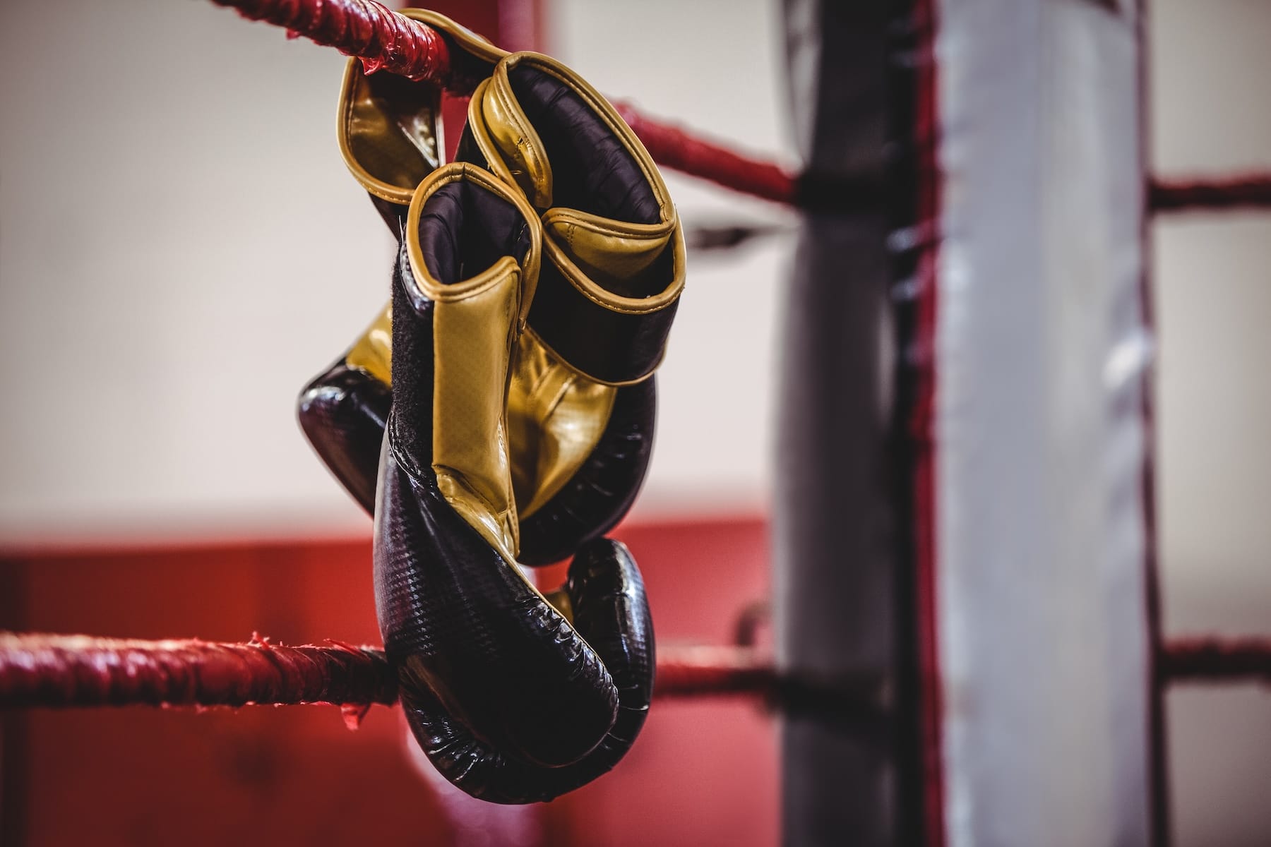 Pair of yellow boxing gloves hanging off the boxing ring